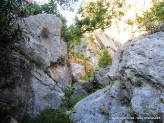 stoleone-31-08-2015 09-09-07